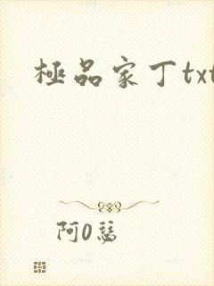 极品家丁txt