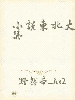 小说东北大炕全集