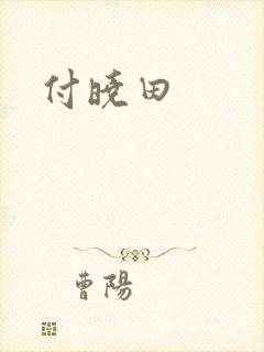 付晓田封面