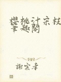 樱桃汁宋枝江野笔趣阁封面