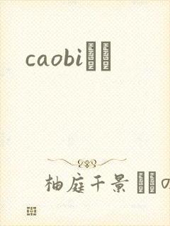 caobiС˵