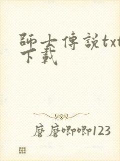 师士传说txt下载