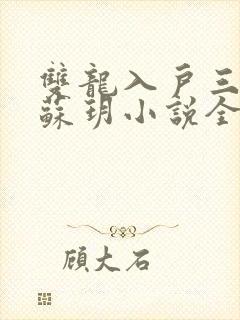 双龙入户三人行苏玥小说全文阅读