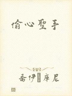偷心圣手