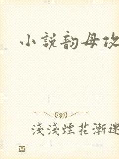 小说韵母攻略