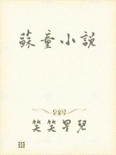 苏童小说封面