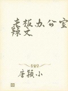 老板办公室系列辣文