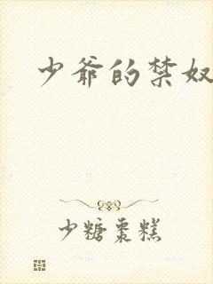 少爷的禁奴