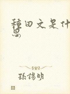 种田文是什么意思