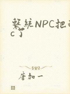 系统NPC把我c了