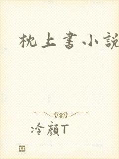 枕上书小说
