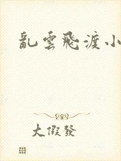 乱云飞渡小说