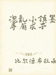 混乱小镇墨池砚寺庙求子封面