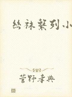 丝袜系列小说