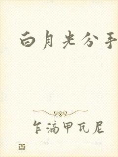 白月光分手日常