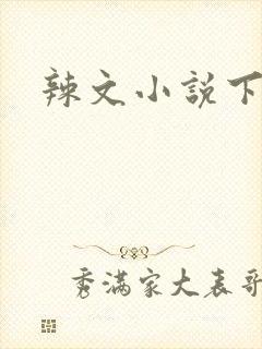 辣文小说下载