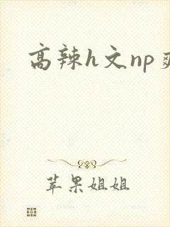 高辣h文np爽