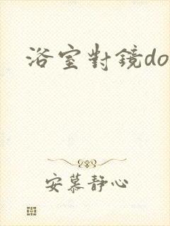 浴室对镜doi封面