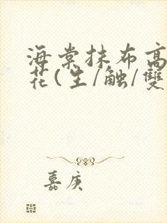 海棠抹布高岭之花(生/触/双)封面