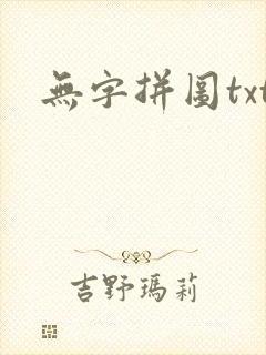 无字拼图txt封面