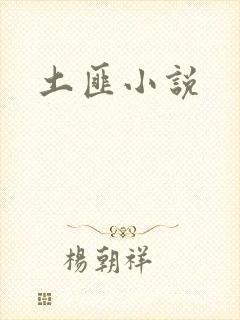 土匪小说