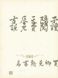方辰天阳子的小说免费阅读封面