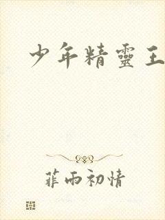 少年精灵王封面