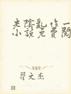 光阴乱作一团的小说免费阅读