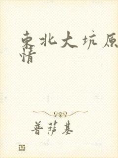 东北大坑原始激情