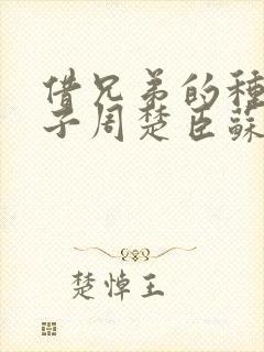 借兄弟的种生孩子周楚臣苏糖