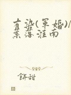 有染(军婚)/叶落淮南