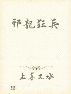 邪龙狂兵