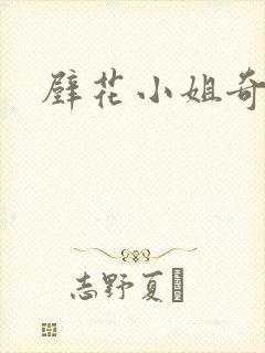 壁花小姐奇遇记