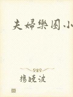 夫妇乐园小说