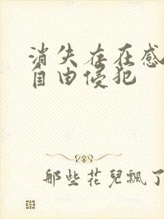 消失存在感消失自由侵犯