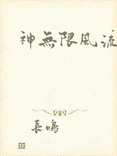 神无限风流封面