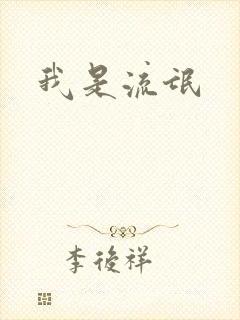 我是流氓封面