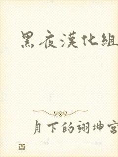 黑夜汉化组