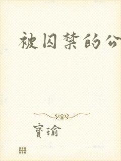被囚禁的公主