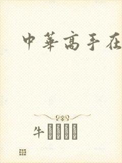 中华高手在异世