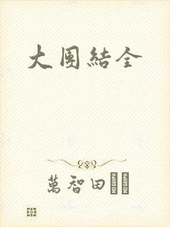 大团结全