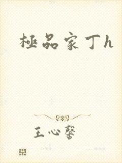 极品家丁h