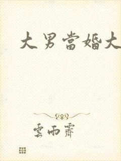 大男当婚大结局