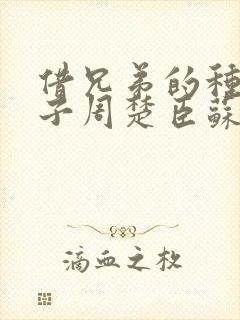 借兄弟的种生孩子周楚臣苏糖