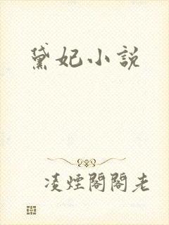 黛妃小说