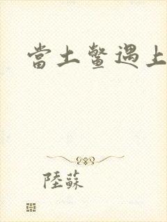 当土鳖遇上海龟