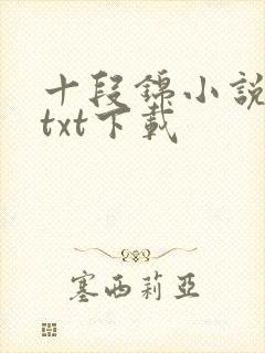 十段锦小说全本txt下载封面
