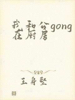 我和公gong在厨房封面