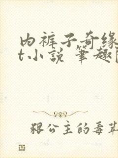 内裤子奇缘txt小说 笔趣阁封面
