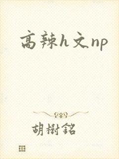 高辣h文np